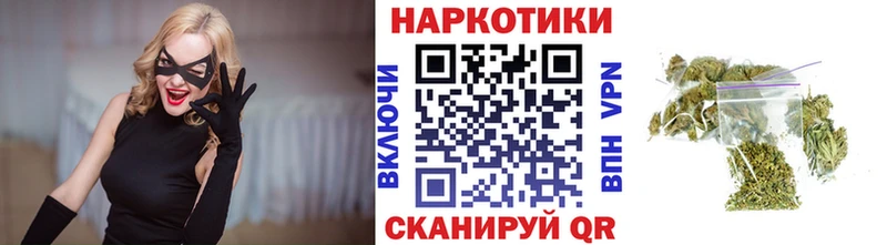 МЕФ Салаир