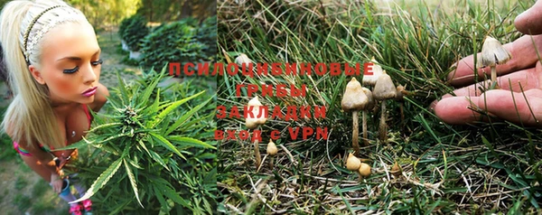 а пвп мука Аркадак