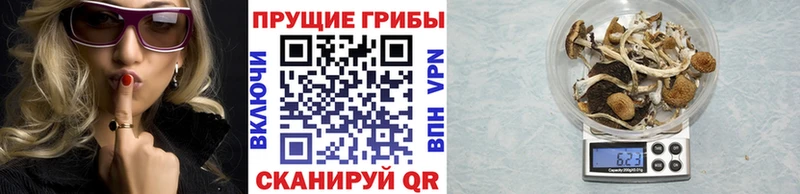 Галлюциногенные грибы мицелий  Салаир 